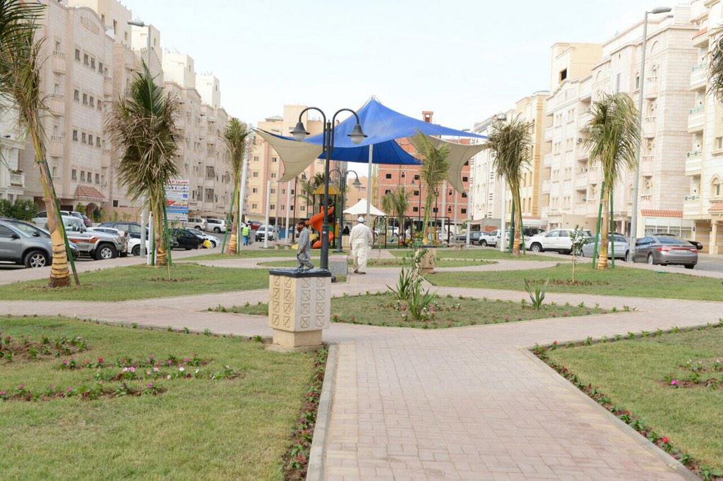 Alwadi Alabyad park